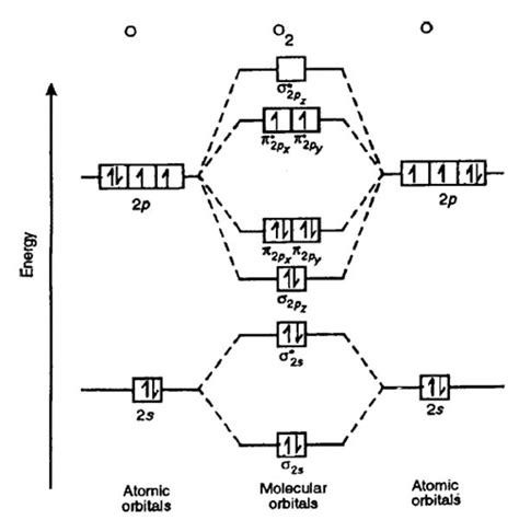 Nitrogen Molecular Orbital Diagram