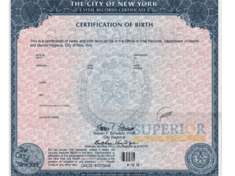 Buy A Fake Birth Certificate Online | Obtain Novelty Birth Certificates with Verification