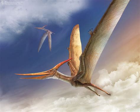 Flying Pteranodon by Swordlord3d on DeviantArt