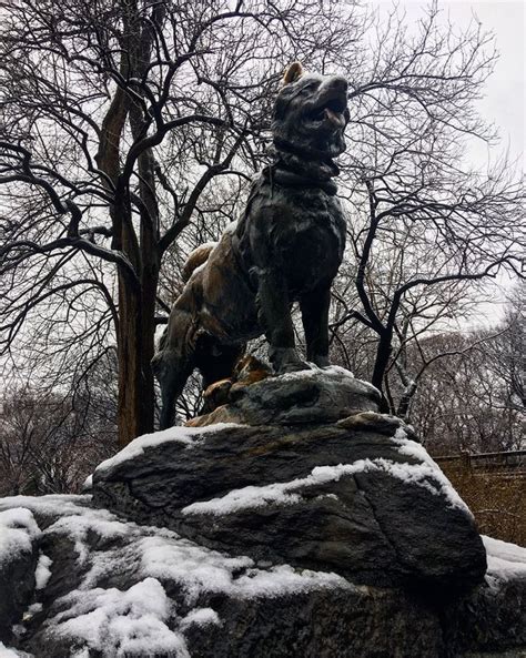 Balto Statue in Central Park NYC. | Central park nyc, Nyc aesthetic, Places to go