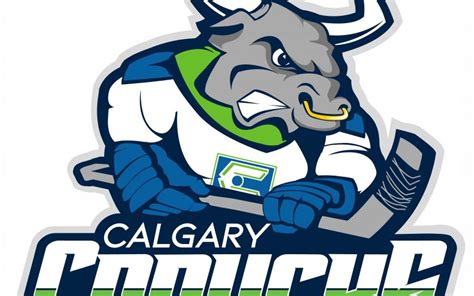 Calgary Canucks Reveal New Logos and Visual Identity Team | Calgary ...