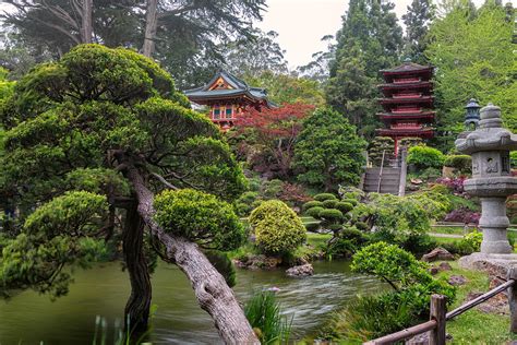 Japanese Tea Garden - Golden Gate Park Photograph by Adam Romanowicz - Fine Art America