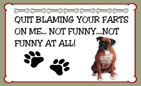 New BOXER DOG FUNNY FARTS MAGNET