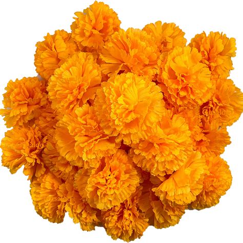 Buy Gusaloo Big Marigold Flower Heads Bulk 30Pcs Silk Mexican Marigold Artificial Flowers for ...