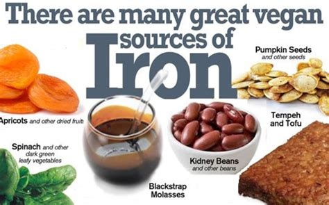 Iron Rich Foods to help Fight Anemia, Vegetarian Style! - HubPages