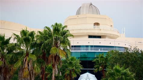 Orlando Science Center in Orlando, Florida | Expedia