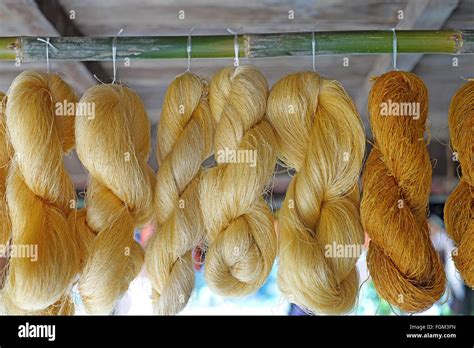 Silk production hi-res stock photography and images - Alamy