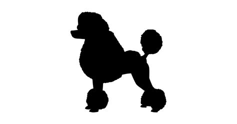 Toy Poodle Silhouette at GetDrawings | Free download