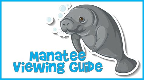 Manatee Viewing Guide for Central Florida - MyCentralFloridaFamily.com