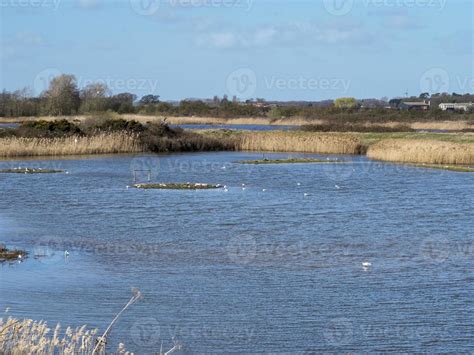 Lake at North Cave Wetlands, East Yorkshire, England 21985038 Stock ...