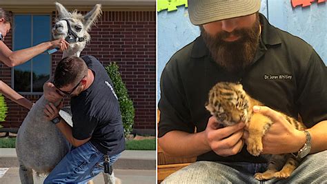 Oklahoma Doctor Provides Chiropractic Care to All Types of Wild and Domestic Animals