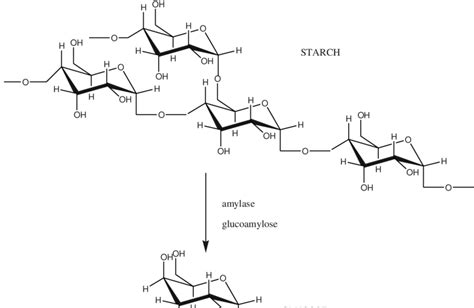 Enzymatic Pathways For Hydrolysis Of Nitriles Download