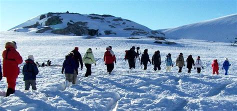 Tourists in Antarctica - Smoke Tree Manor