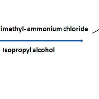 Different pathways for synthesis of methylated chitosan from native... | Download Scientific Diagram