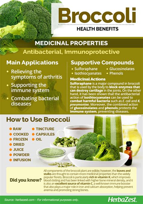 18 Broccoli Infographics: Health Benefits and How to Prepare