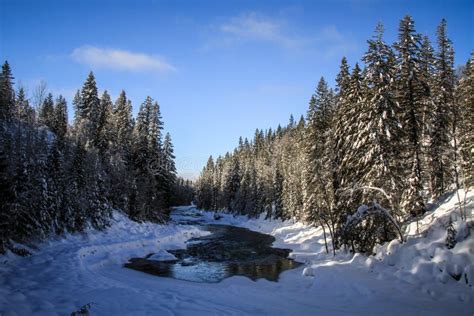 Roadtripping in the Majestuous Rockies between Jasper and Alberta on ...