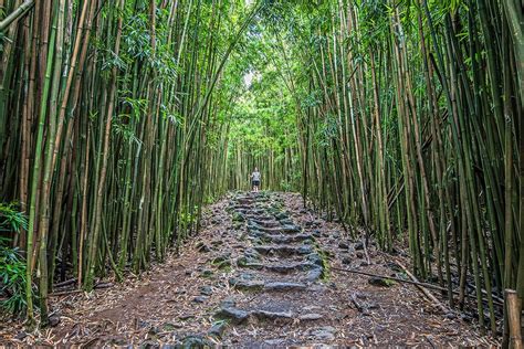 3 Great Maui Hiking Trails - Hawaii Magazine