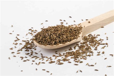 What Is Caraway and How Is It Used?