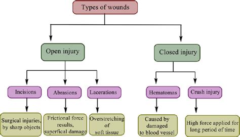 Classification of wounds. | Download Scientific Diagram