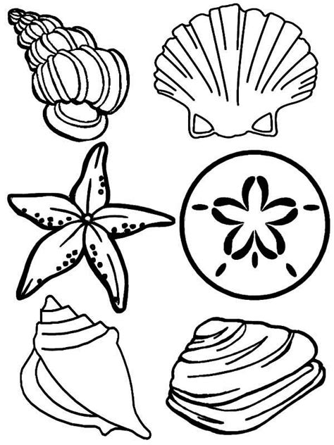 Complete Sea Shells Family Coloring Page | Animal coloring pages, Free ...