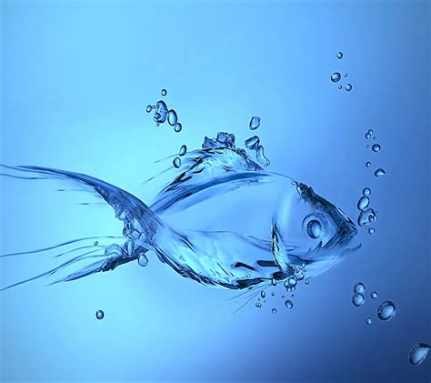 Aqua Fish, blue, drops, fish, splash, water, HD wallpaper | Peakpx