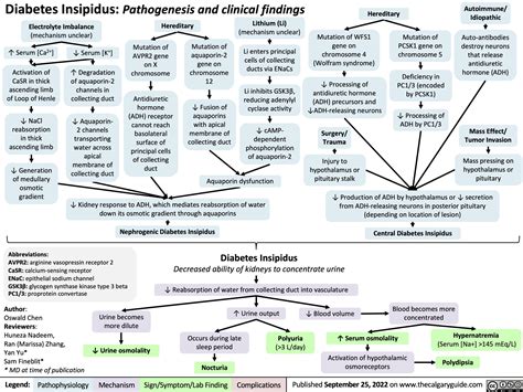 diabetes-insipidus-pathogenesis-and-clinical-findings | Calgary Guide