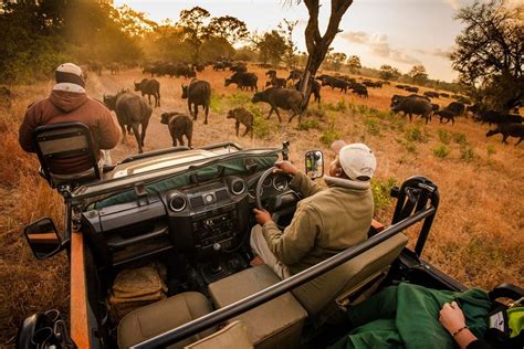 Sabi Sabi Game Reserve: Sabi Sands Lodges | Kruger National Park