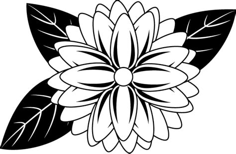 Drawing Dahlia Clip art - Dahlia Cliparts png download - 633*414 - Free Transparent Drawing png ...