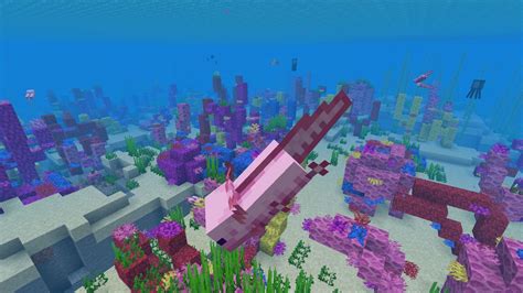 Minecraft Axolotls Locations - How to tame Axolotl, what do Axolotls eat