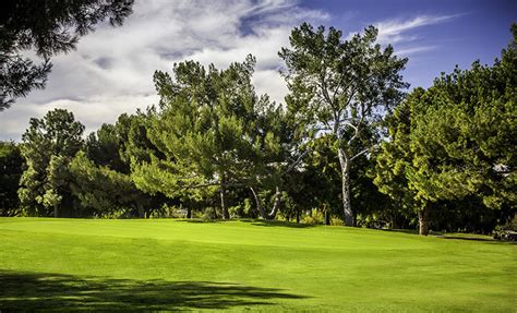 Planting The Seed: LA City Golf | FORE Magazine