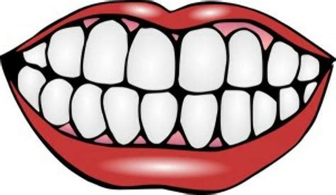 Download High Quality mouth clipart man Transparent PNG Images - Art Prim clip arts 2019