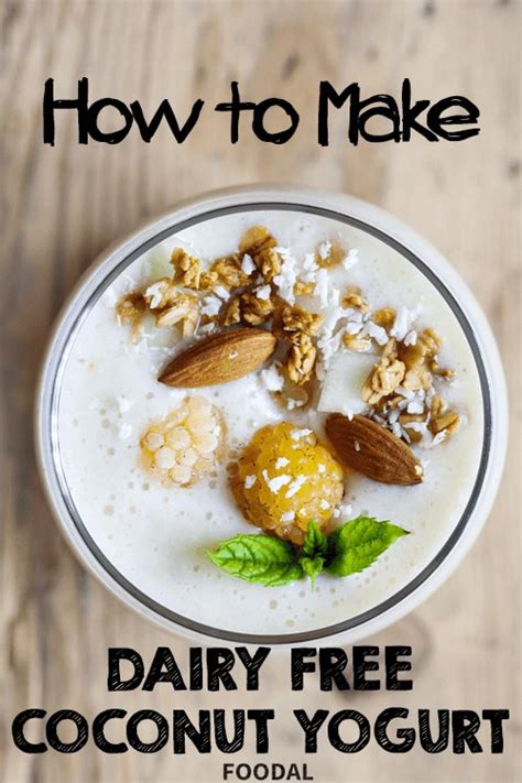 How To Make Dairy Free Coconut Yogurt | Foodal