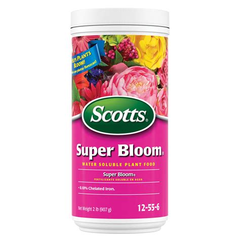 Bloom Products Available Now - Lowe's