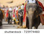 Man Riding an Elephant in Jaipur, India image - Free stock photo - Public Domain photo - CC0 Images