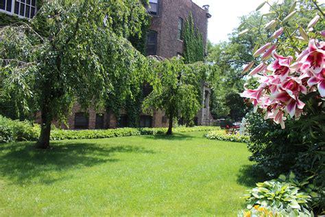 This Gorgeous Logan Square Garden Will Be Preserved For Generations Thanks To New Owners