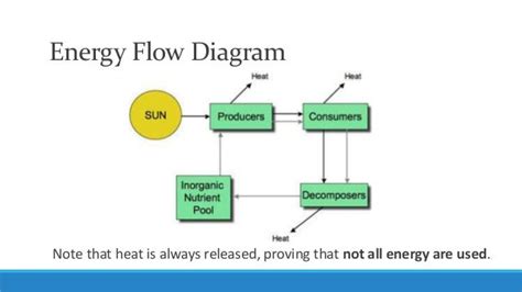 [DIAGRAM] Transfer Energy Flow Diagram - MYDIAGRAM.ONLINE