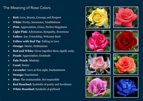 Secrets of a Craft Freak: The Meaning of Rose Colors