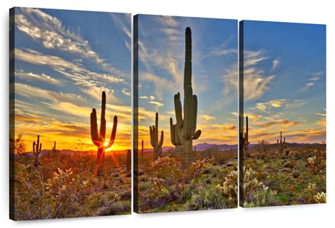 Sonoran Desert Saguaro Cactus Wall Art | Photography