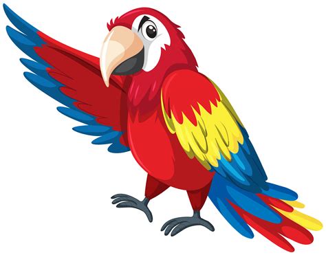 parrot clipart | Wallpapers Quality