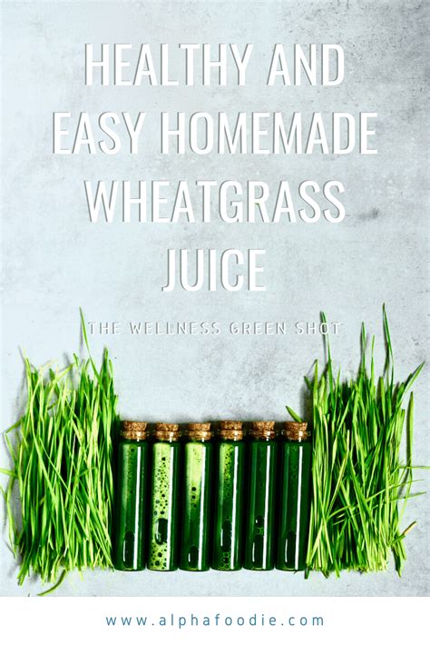 How to make Wheatgrass Shots and Juice - Alphafoodie