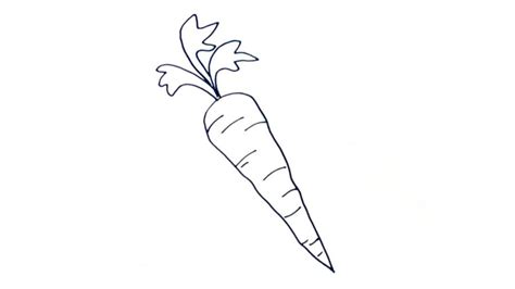 Carrot Drawing Pic - Drawing Skill