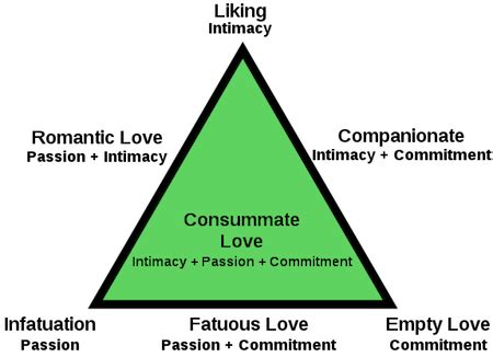 Companionate Love | Definition & Examples - Lesson | Study.com