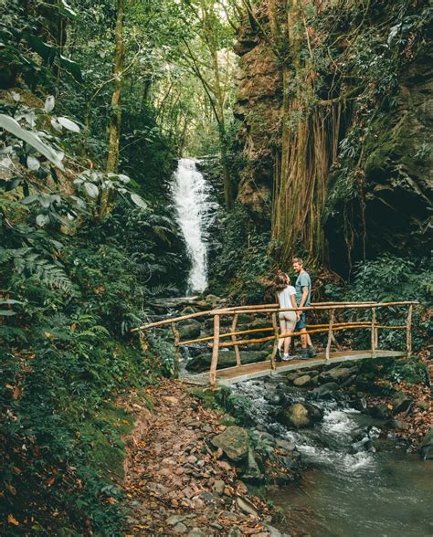 5 Best Things To Do at Monteverde Cloud Forest (Costa Rica)