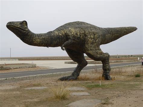 Dinosaur Museum of Erenhot. - 2020 All You Need to Know BEFORE You Go (with Photos) - Tripadvisor