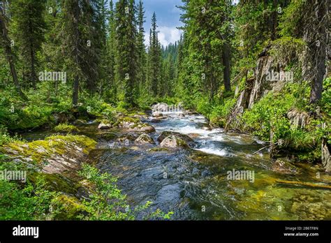 Natural landscape. Small river mountain stream flowing through the ...