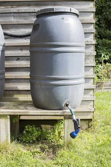 Water Barrel in Community Garden. Gardening Tool To Water Plants on a Farm Stock Image - Image ...