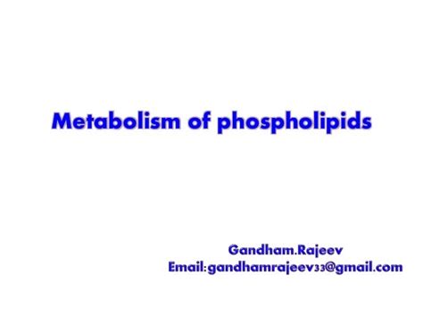 SYNTHESIS OF PHOSPHOLIPIDS