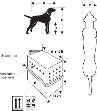 Flying Dogs in Cargo: How Safe is it? - Pets That Travel