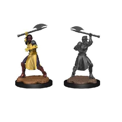 Critical Role Unpainted Miniatures: Half-Elf Echo Knight and Echo ...