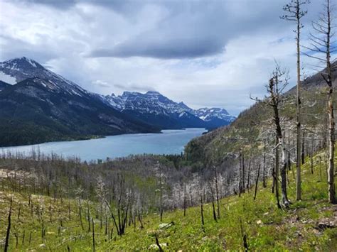 10 Best Hikes and Trails in Waterton Lakes National Park | AllTrails